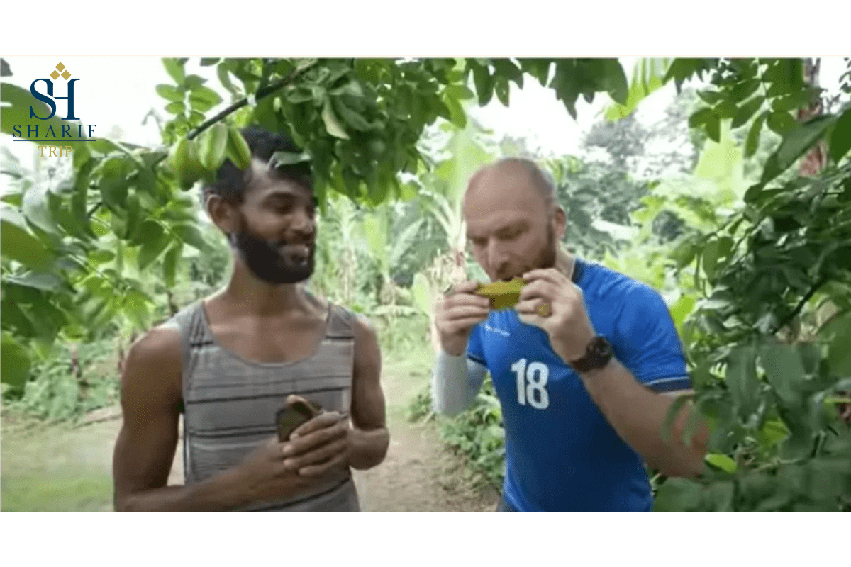 دیوید هافمن، یوتیوبر دومینیکایی، سفر به مزارع میوه دومینیکا را آغاز می‌کند.