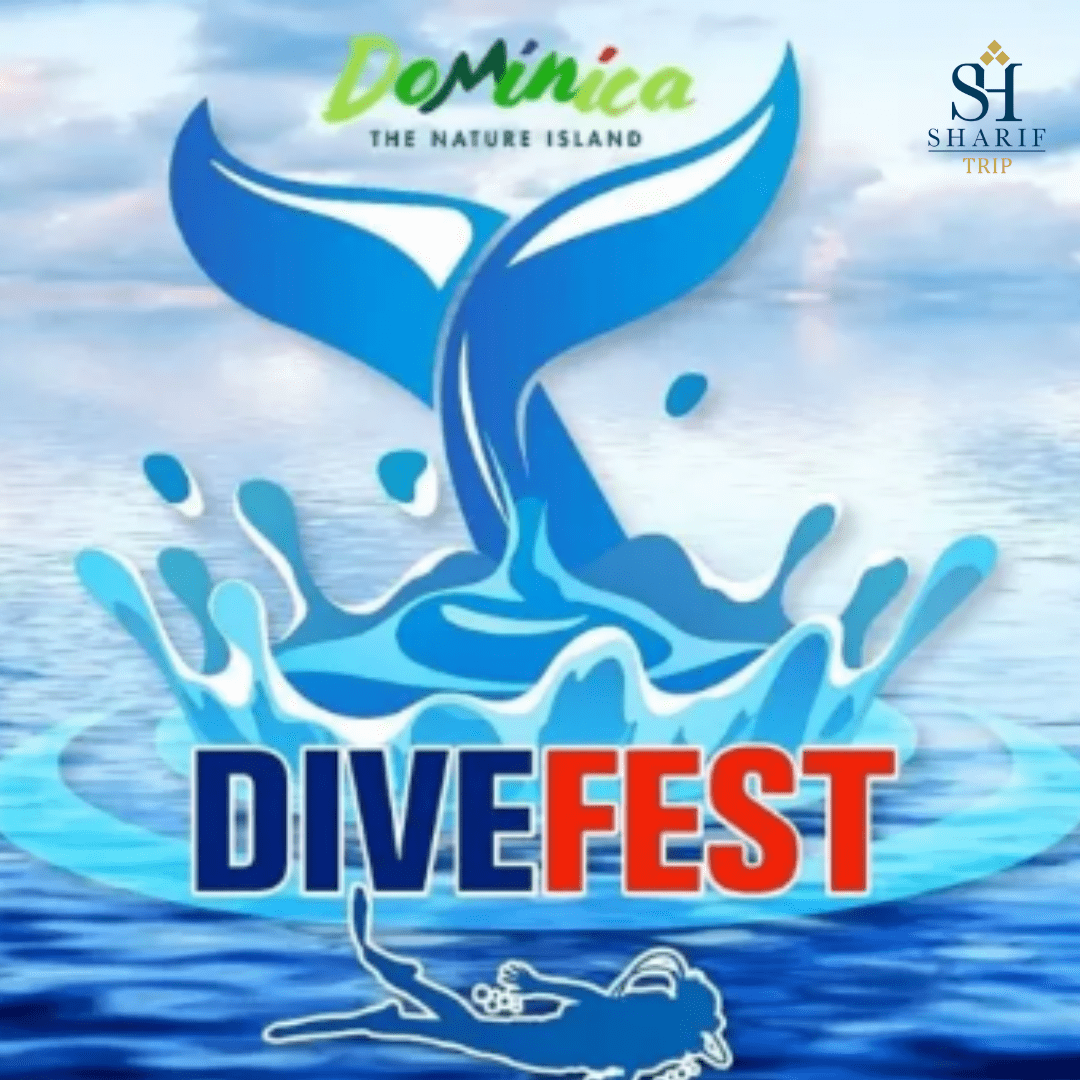 دومینیکا آماده میزبانی Dive Fest 2023 است و هدف آن جشن گرفتن محیط زیست دریایی است