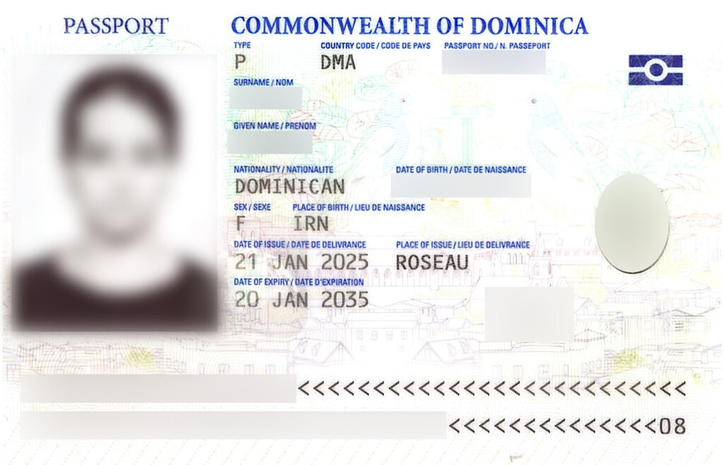 PP Ms Salmaz Aksoy 3 - visas