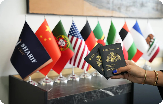 Rectangle 4536 - پاسپورت دومینیکا: هزینه و مزایای دریافت پاسپورت Dominica