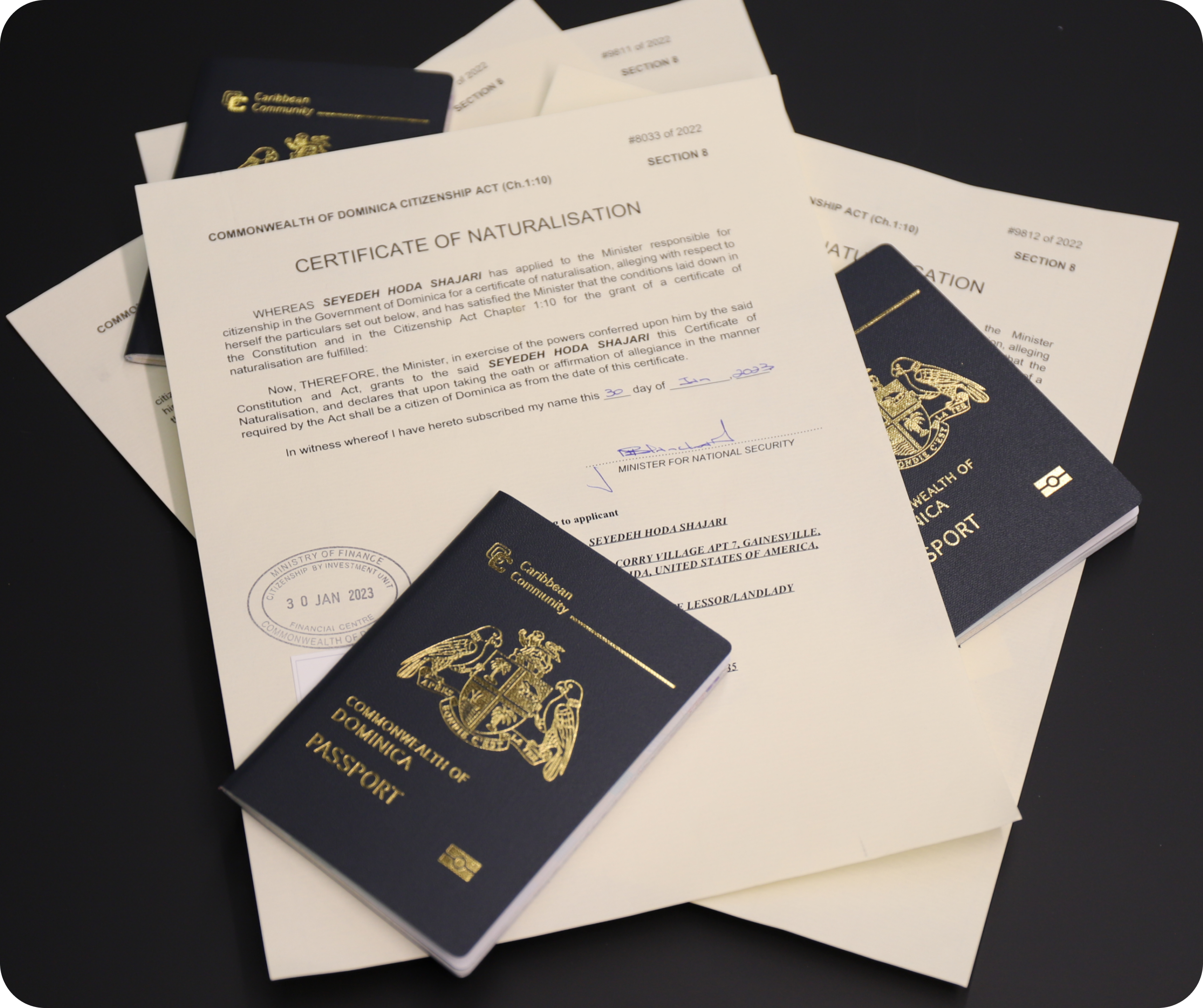 msg105678224 354244 1 2 - پاسپورت دومینیکا: هزینه و مزایای دریافت پاسپورت Dominica